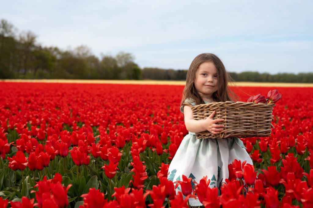 Girl in white dress red tulip field Netherlands - children photography spring session