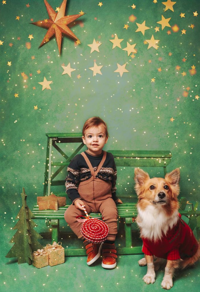 Toddler boy sitting on a green bench next to his dog wearing a red sweater, green starry Christmas backdrop